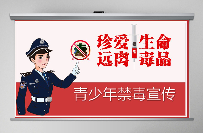 大气时尚禁毒日内容型青少年禁毒宣传PPT模板