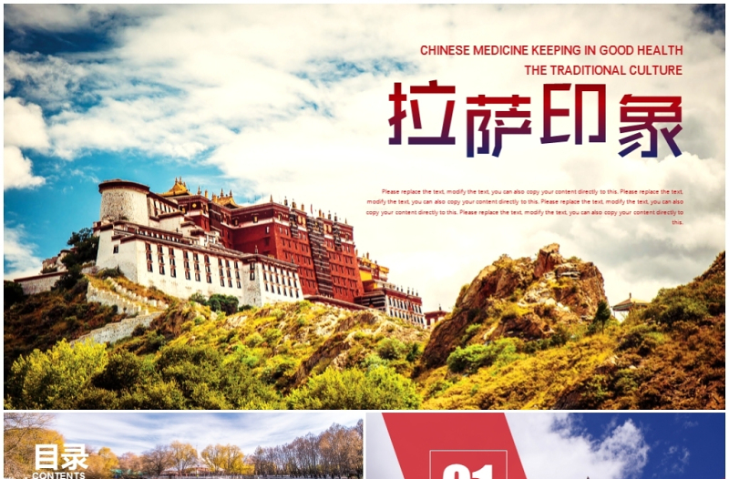 精美时尚布达拉宫西藏文化西藏旅游ppt