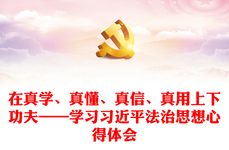 优质在真学、真懂、真信、真用上下功夫——学习习近平法治思想心得体会