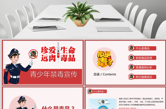 大气时尚禁毒日内容型青少年禁毒宣传PPT模板