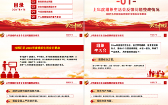 组织生活会个人发言材料PPT简约风组织生活会个人发言材料专题党课课件模板下载