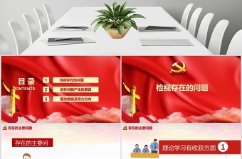 2025红色专题民主生活会