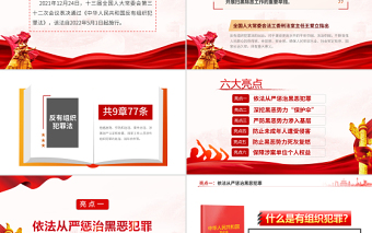 大气精美亮点解读《反有组织犯罪法》专题课件PPT模板