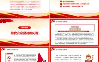 红色创意贯彻落实好新时代党的“三农”政策PPT红色大气风党员干部学习教育专题党课
