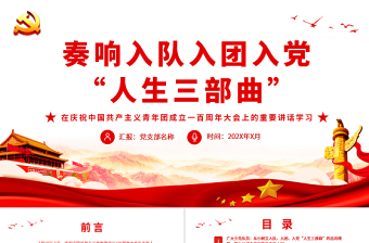 2025庆祝改革开放47周年大会党课ppt