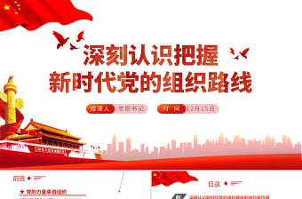 2025新时代党的组织路线五个抓好党课ppt免费