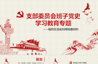 红色精美年支部委员会班子成员党史学习教育专题组织生活会对照检查材料PPT党课模板下载
