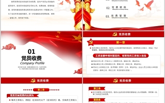中国共产党党费收缴使用和管理的规定政府党政工作PPT模板
