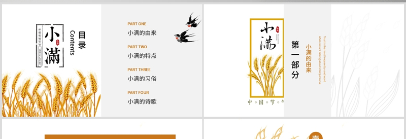 大气精美简约风二十四节气小满介绍PPT模板