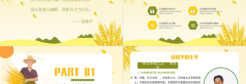 红色党建风济天下精神永传传承杂交水稻之父—袁隆平精神小学卡通专题