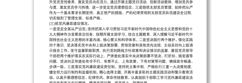实用党支部落实管党治党主体责任情况报告