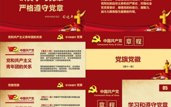 红色精美中国共产党章程（2012年修改版本）党章党规学习解读PPT