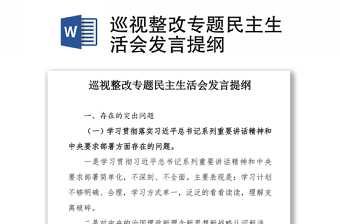 精品巡视整改专题民主生活会发言提纲