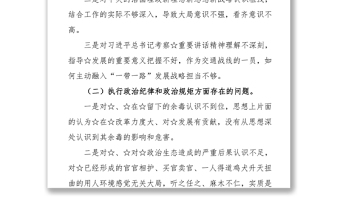 精品巡视整改专题民主生活会发言提纲