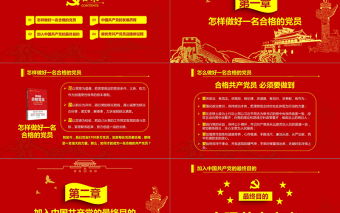 精美时尚党政红色金色做合格共产党员党课闪亮简洁PPT模板