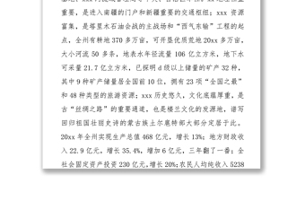 精品向自治区党委巡视组的工作汇报
