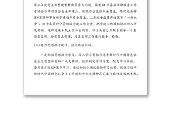 优秀20XX年司法局支部书记抓机关党建工作述职报告