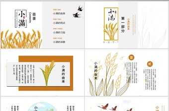 大气精美简约风二十四节气小满介绍PPT模板