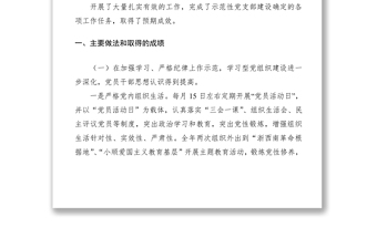 优质示范党支部创建工作总结汇报
