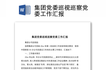优质集团党委巡视巡察党委工作汇报