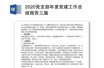 优质党支部年度党建工作总结报告三篇