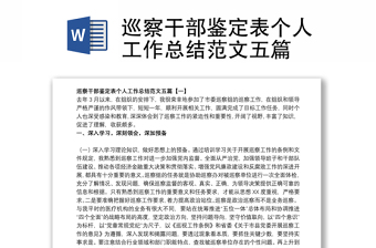 精品巡察干部鉴定表个人工作总结范文五篇