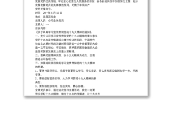 优质主题党日活动会议记录