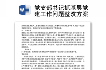 全新党支部书记抓基层党建工作问题整改方案