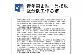 优质青年突击队—昂扬攻坚分队工作总结