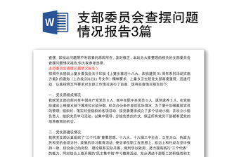 通用支部委员会查摆问题情况报告3篇
