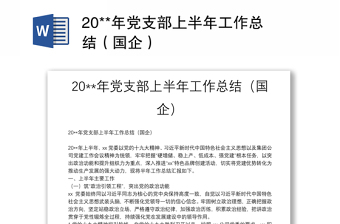 党支部总结