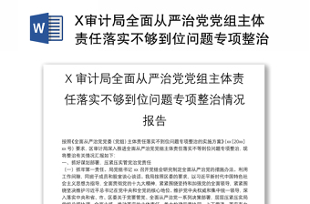 优秀X审计局全面从严治党党组主体责任落实不够到位问题专项整治情况报告