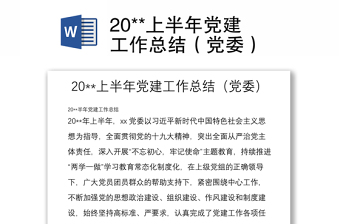 优质20**上半年党建工作总结（党委）