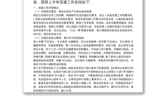 优质20**上半年党建工作总结（党委）