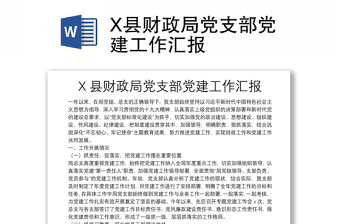 实用X县财政局党支部党建工作汇报