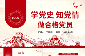 精美时尚党政PPT模板4