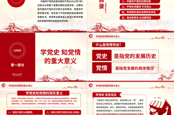 精美时尚党政PPT模板4