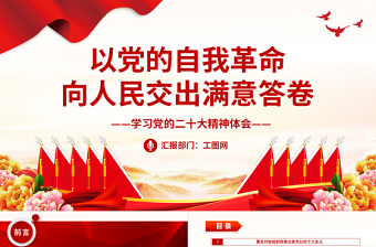 大气精美以党的自我革命向人民交出满意答卷PPT学习党的二十大精神体会专题党课党建课件