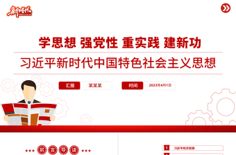 精美大气习近平新时代中国特色社会主义思想PPT精美简洁学思想强党性重实践建新功党内主题教育党课课件