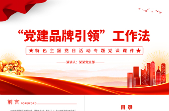 红色质感“党建品牌引领”工作法PPT红色经典党日活动党课课件