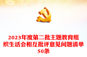 精品组织生活会相互批评意见问题清单50条PPT红色实用第二批主题教育生活会模板(讲稿)