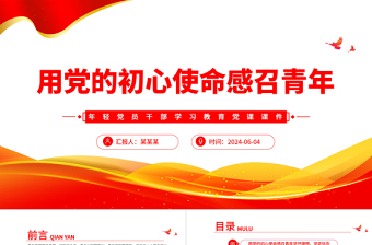 2025用党的初心使命感召青年坚守理想坚定信念PPT党政风年轻党员干部学习教育党课课件