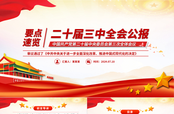 2025年20届三中全会精神党课ppt