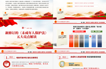 简洁大气最新修订版《未成年人保护法》解读PPT未成年人保护少年儿童法治教育普法宣传培训课件