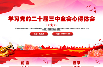 2025中国二十大届三中全会党课ppt