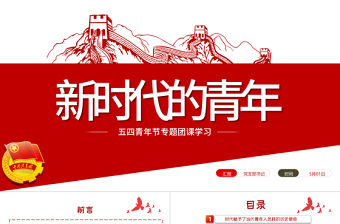 红色庄严新时代的青年PPT争做堪当民族复兴重任时代新人五四青年节专题党课课件模板