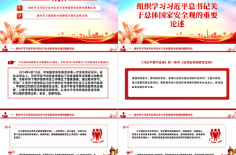 精美时尚4月份主题党日活动PPT党建风学习总体国家安全观党课课件