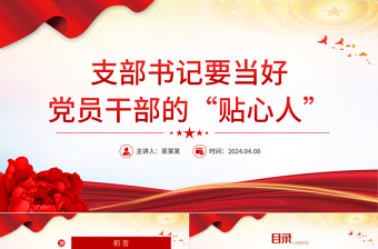 2025年支部书记讲党课材料ppt