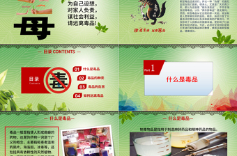 精品国际禁毒日远离毒品珍爱生命拒绝诱惑禁毒日PPT模板