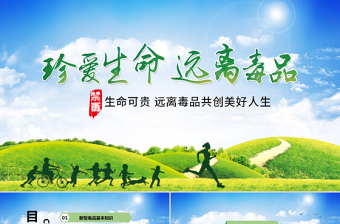 大气时尚珍惜生命远离毒品禁毒知识宣传PPT模板
